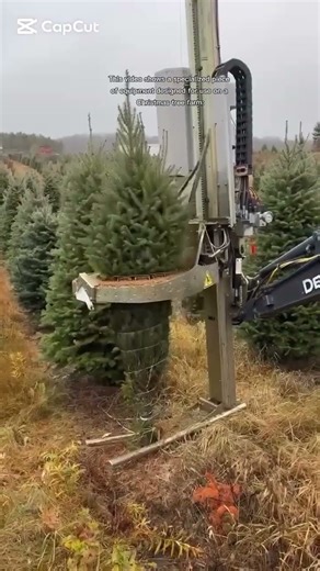 Tree Wrapping/Baling Machine #shortsfeed