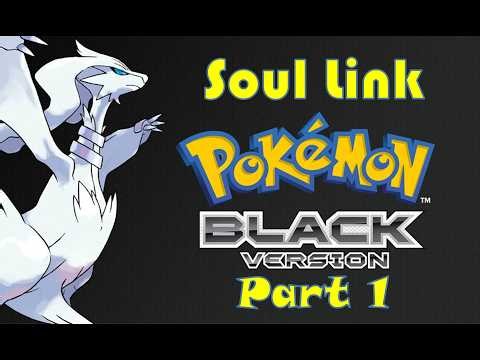 Pokémon Black: Randomizer Soul Link - Part 1