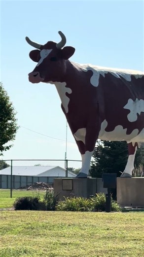 Buffy the Cow Statue Austin Minnesota #statue #art #travel #youtubeshorts #video #minnesota #cow