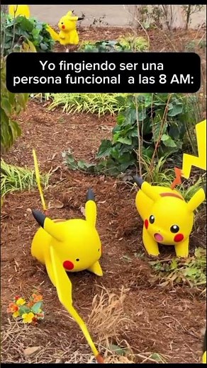 Ditto