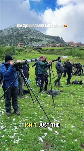 Exploring Northern Spain - Asturias & Someido Natural Park 😍 #spaintravel #asturias #bearwatching