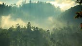 Cloud forest, Sri Lanka sunrise time lapse. Sri Lanka, culture,...
