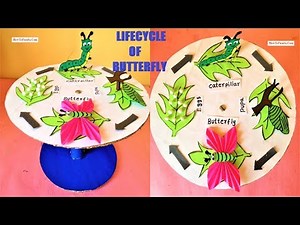 life cycle of a butterfly model (3d) making using cardboard science project | howtofunda still model