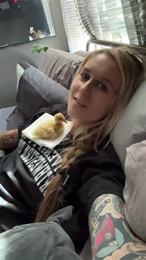 Alexis XJ (@lexxxixii1)’s videos with original sound - Alexis XJ