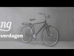 Mustang Christian Electric 28" elcykel