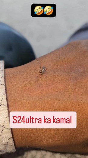 Samsung S24 Ultra का कमाल 🤣☑️ #samsungmobile #samsungindia #samsungmurah #newphone #s24ultra #samsungs24ultra #bestprice #trendingreels #trend #viralvideo #explorepages #exploremore #reelsinstagram😍 #reelsitfeelsit #unboxing #reelkarofeelkaro❤ | Mrlelo_official