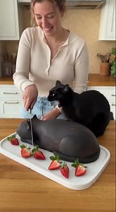 Real or Cake? They're So Confused! 😱🎂