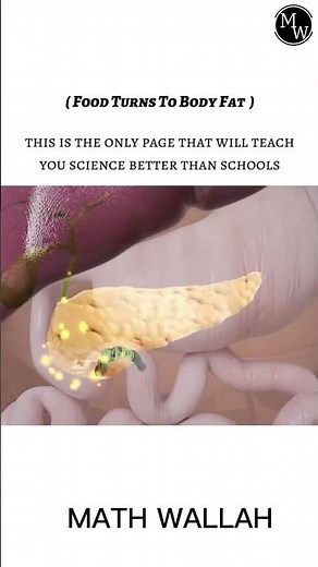 🥗 How Food Turns Into Fat | Explained Like Never Before!