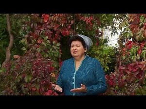 Aurica Murasan - Straina printre straini...