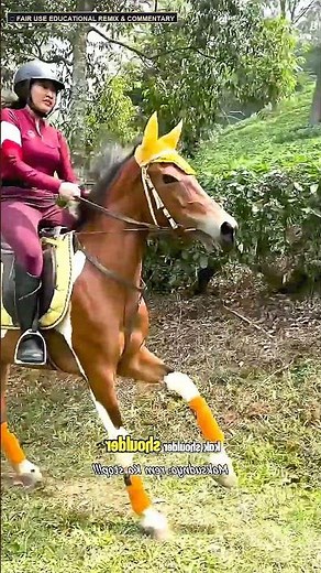 Sunset Gallop & Peaceful Trail Rides: Epic Equestrian Moments 🐎🌅 #Shorts