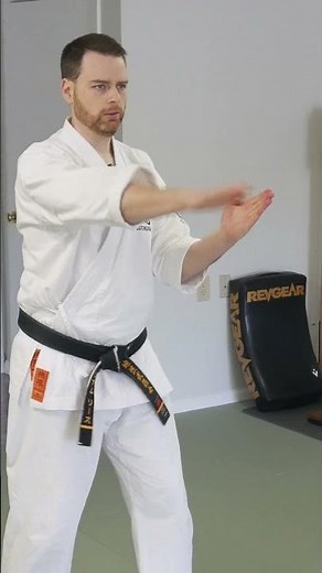 Uechi-Ryu Karate Sanchin Breathing Methods #uechi #uechiryu #karate #sanchin