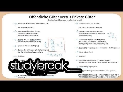 Öffentliche Güter, Private Güter, Bereitstellung | Finanzwissenschaft