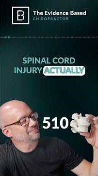 Microglia: The Hidden Power Players in Spinal Cord Recovery