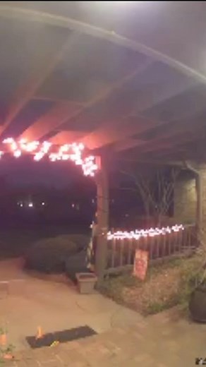 Old Row | And he almost got away with it too! | Instagram