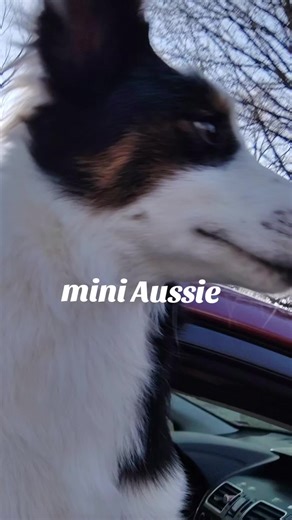 Jenna Phelps (@jennaphelps2)’s videos with Funny video