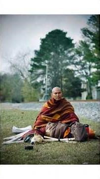 Aloka ❤️ silent walk powerful massage peace in action #alokathepeacedog #walkforpeace #peace #love