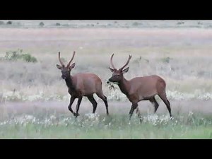 Nevada Fracking, Ruby Marshes Nevada, Ruby Lake National Wildlife Refuge