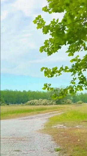 The baptism - Jerry Clower #shorts #jerryclower