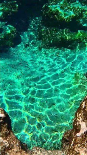Underwater In Clear Spring