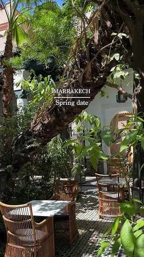 2.3K views · 47 reactions | Spring feels different when it’s Marrakech, palm trees, and someone you love. ✨ Ready for your next romantic escape?  | Visit Morocco | Facebook