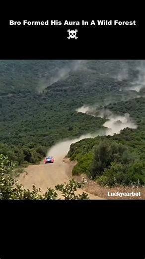 The Real Aura Farmer In Forest 🗿