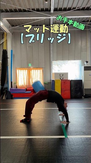 マット運動技紹介【ブリッジ】お手本動画 #体操 #マット運動 #トレーニング #北海道 #アクロバット
