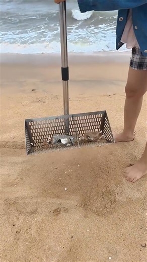 7K views · 14 reactions | While cleaning the BEACH, a strange can was found under the sand,likely corroded by marine life. | Brian R | Facebook