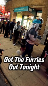 No Furry Hate Here 🏳️🏳️ . . . . . . . #motorcycle #kawasaki #zx6r #zx10r #yamaha #r1 #r6 #r7 #r9 #ducati #honda #harleydavidson #aprilia #rsv4 #rs660 #suzuki #bmws1000rr #s1krr #bmw #gsxr #gsxr1000 | Jay Brown