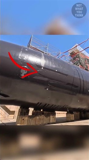 Virginia-Class Submarine or Sperm Whale?