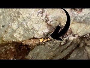 The bedrock here is full of gold! Gold mining NZ