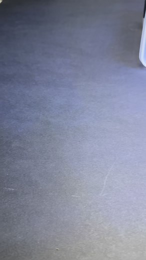 Boop 👉🏼👈🏼 This lady looks ancient. It seems like she commands an army. #theraphosastirmi #theraphosaapophysis #theraphosablondi #GoliathBirdeater #tarantula #spider #TarantulaCare #ArachnidAddict #pets #inverts #tarantulakeeper #insects #inverts #love | Ace Metallica