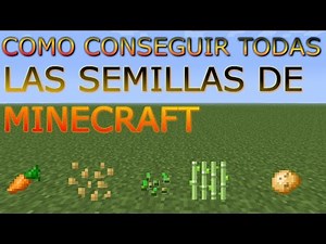 How to find all the Minecraft seeds