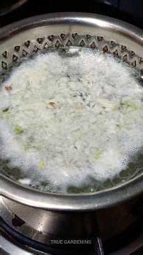 Neem oil ghar per hi banao 🤩 #neemoil #neemoilfertilizer #fertilizerforplants #organicfertilizer