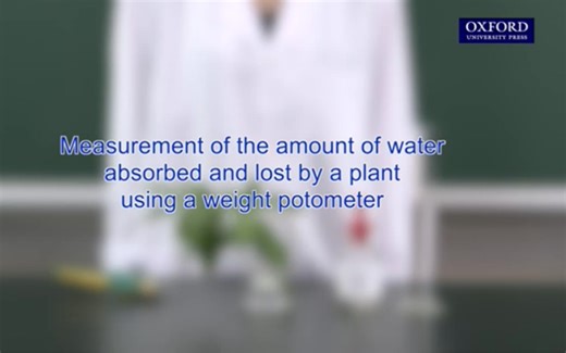 生物｜用蒸腾计测量植物水分的吸收和损失 | Using a weight potometer