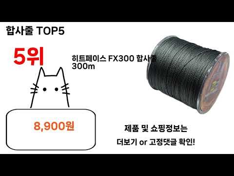 합사줄 돈 아깝지 않은 가성비 추천 상품 Top5