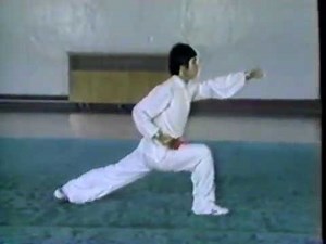 Changquan Wushu Basics : Basic Form 1
