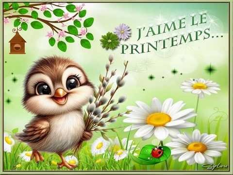 Les Belles Fleurs du Printemps ❤️ღ¸.•°* ❤️♪♪ 🌹