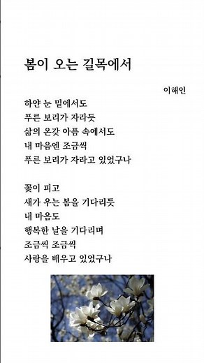 하루를 시작하는 시 | 봄이 오는 길목에서 | 이해인