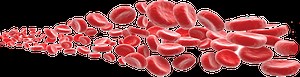 Platelet-Rich-Plasma (PRP)