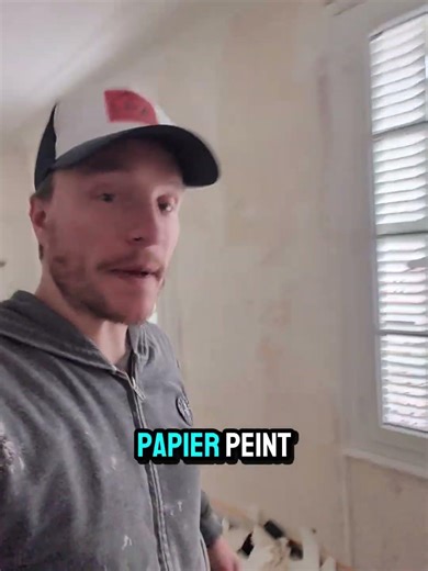 chat+griffe+papier peint....#pierretlemonde #renovation #travaux #dyi