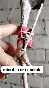 Tutorial | Cortes Tutorial Vlogs