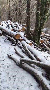 Deep Ruts in Mud and Snow