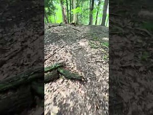 Mill Creek Park Hiking Trail | Nature Walk in Youngstown, Ohio