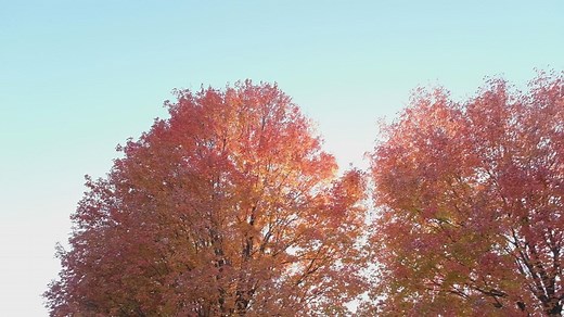 Elm Creek Park Reserve