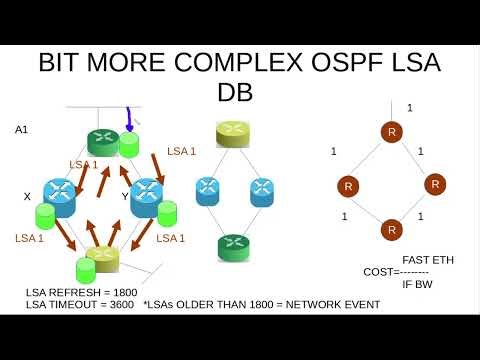 CCNP ENCOR 3.2.b Configure simple OSPFv2/v3 environments THOERY