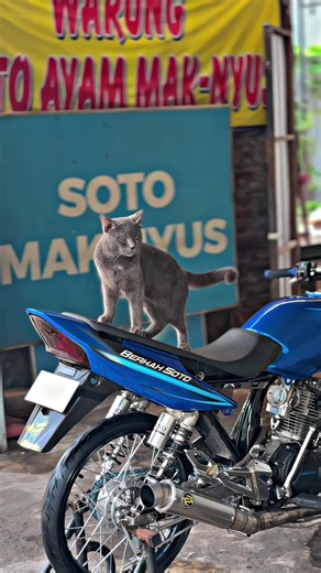 Exploring W9 Style and Pacman Tuning