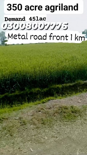 390 reactions · 26 comments | 350 acre agriland fertile land 1 km front of metal road computer record also have canal water #agricalture #fertileland #foryoureels #trendingreels @propertymandionline @pakpunjabtv | Feroz Khan Kanjo | Facebook