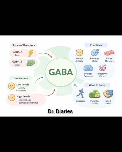 GABA #gaba #neurotransmitters #nervoussystem #shorts #trending #foryou #drdiaries #neurology #medico