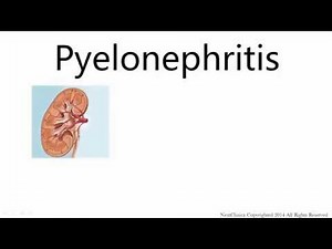 Pyelonephritis