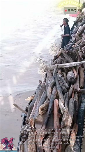 How to Spear Driftwood in River
